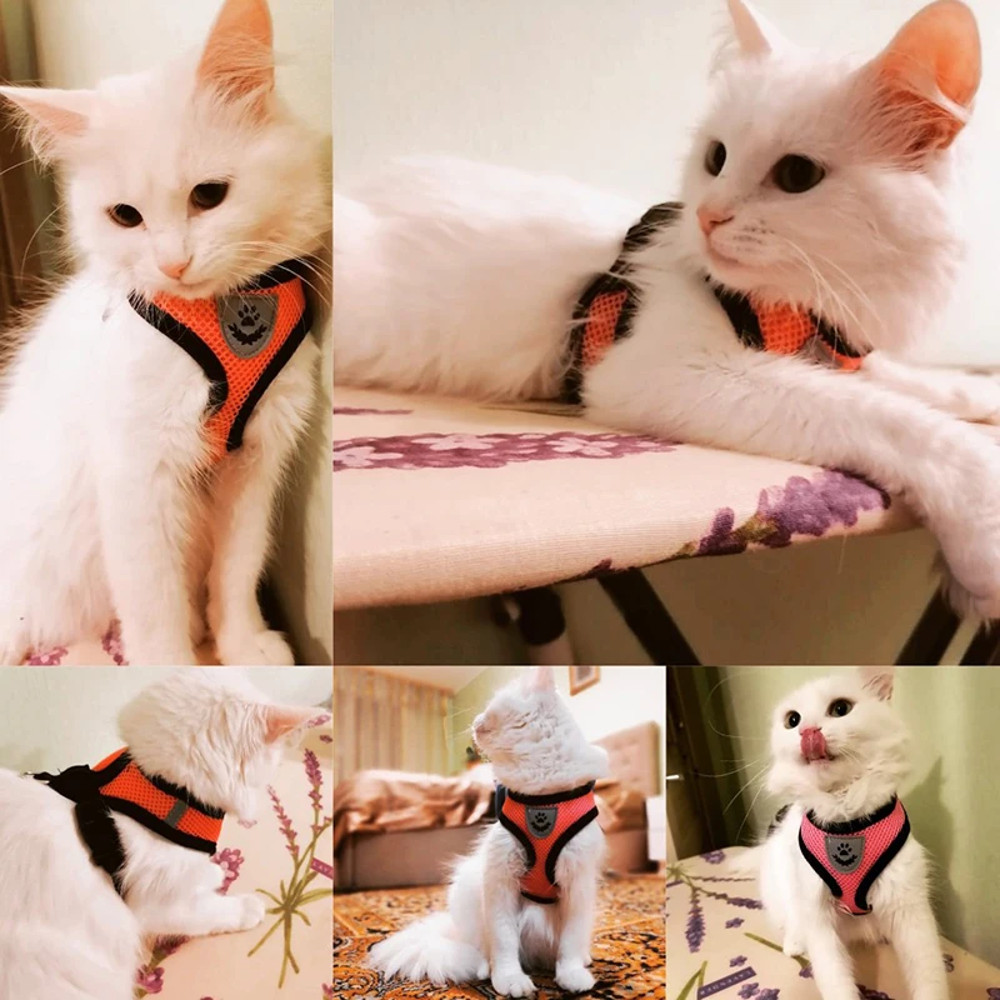 Summer Cat  Dog Harness Lead Leash Adjustable Vest Breathable Polyester Mesh With Reflective Strips 0