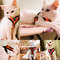 Summer Cat  Dog Harness Lead Leash Adjustable Vest Breathable Polyester Mesh With Reflective Strips 0