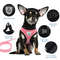 Summer Cat  Dog Harness Lead Leash Adjustable Vest Breathable Polyester Mesh With Reflective Strips 1