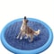 Heavy Duty Outdoor Pet Bathing Basin with Spray Function Non Slip Dog Water Play Mat for Summer Fun & Easy Cleaning