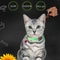 Glowing Cat Collar Luminous Anti Loss Necklace with Fluorescent Silicone & Bell for Cats & Small Dogs
