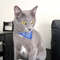 Cute Printed Bandana Cat Collar Adjustable Triangular Scarf Collar For Puppy Dog Kittens  Small Ani 0
