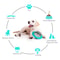 Interactive Dog Toy With Fly Disk Food Dispenser Improve IQ Slow Feeding And Training For Small Me 2