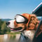 Windproof Dog Glasses Outdoor Pet Goggles For Large Dogs UV Protection Dog Accessories For Riding H 1