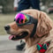 Windproof Dog Glasses Outdoor Pet Goggles For Large Dogs UV Protection Dog Accessories For Riding H 2