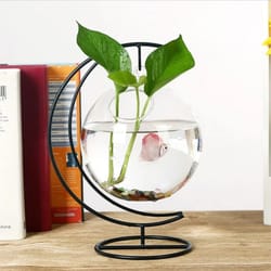 suspended transparent hanging glass fish tank infusion bottle aquarium
