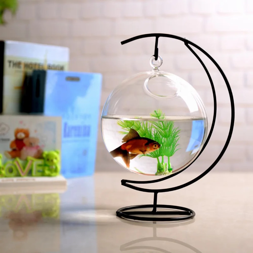 Suspended Transparent Hanging Glass Fish Tank Infusion Bottle Aquarium 1
