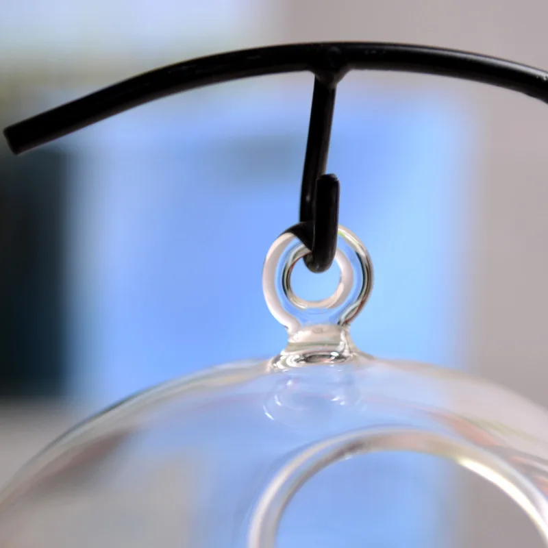 Suspended Transparent Hanging Glass Fish Tank Infusion Bottle Aquarium 4