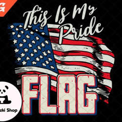 this is my pride flag usa png