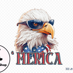 4th of july sublimation - merica png