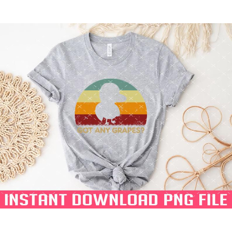 TT1101241428-Retro Sunset Duck Got Any Grapes PNG files for sublimation.jpg