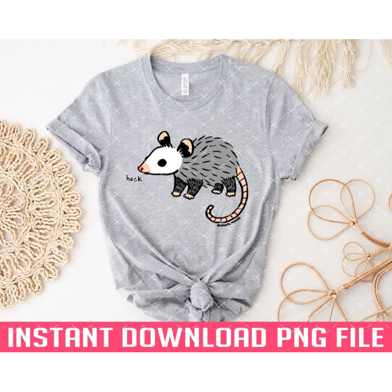 TT1101242979-Heck Recolor PNG files for sublimation.jpg