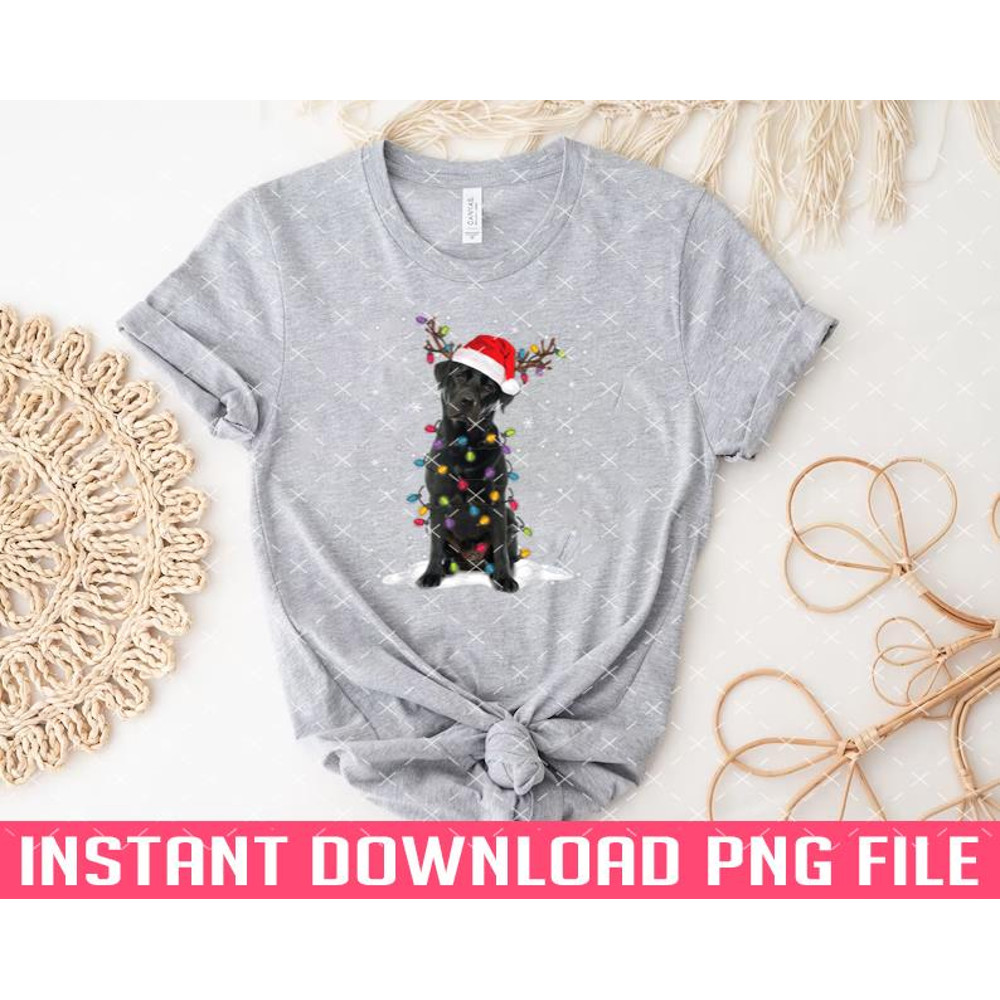 TT1101244118-black lab labador christmas santa hat PNG files for sublimation.jpg