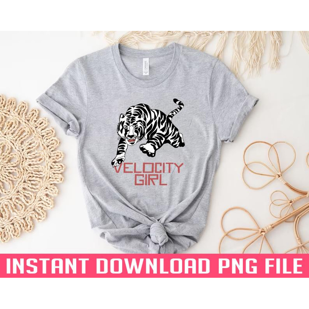 ALL0503241240-Velocity Girl Original Fan Design PNG Download.jpg