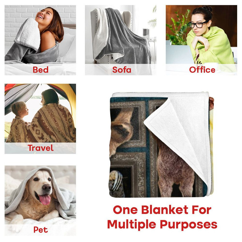 Blanket Gift For Sloth Lovers Sloth Blanket Gifts For Sloth Lover Sloth 3D Flame Blanket 3
