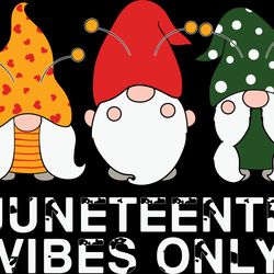 gnome juneteenth vibes only svg, juneteenth svg, african american svg, black history svg, digital download