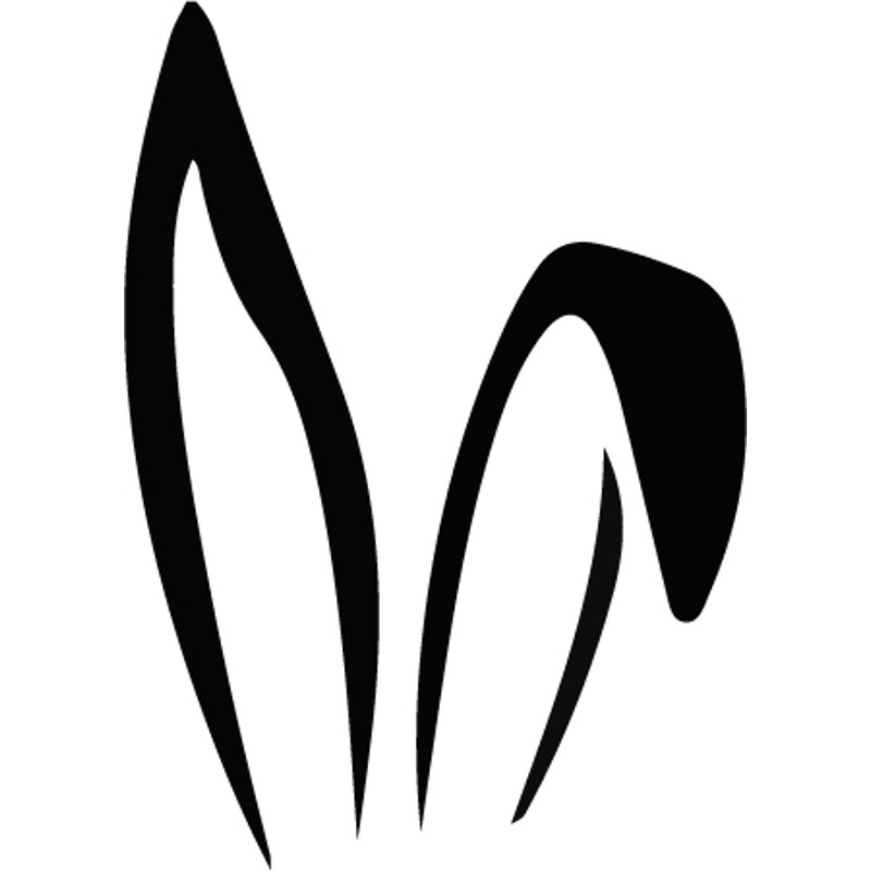 Bunny Ears.jpg