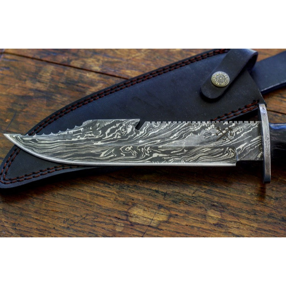 IMG_2100_750x495 - Copy.jpeg