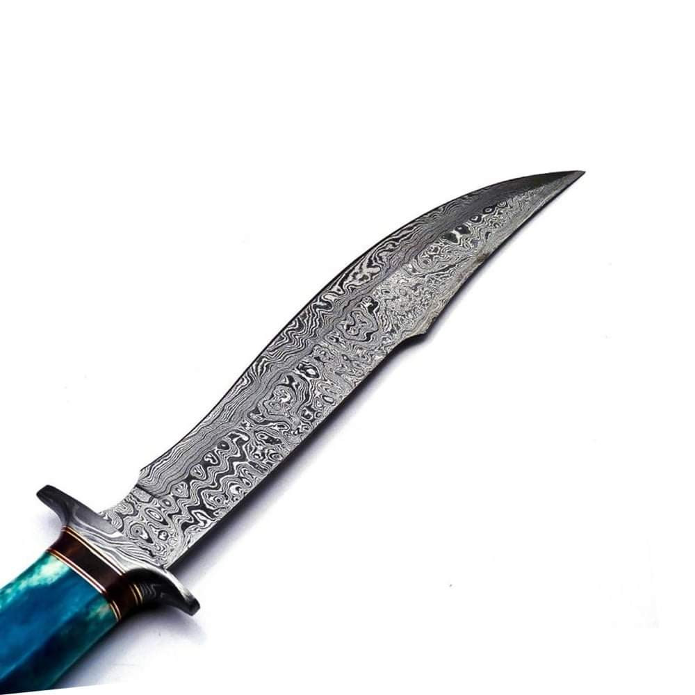 FB_IMG_1644272181849 - Copy.jpg