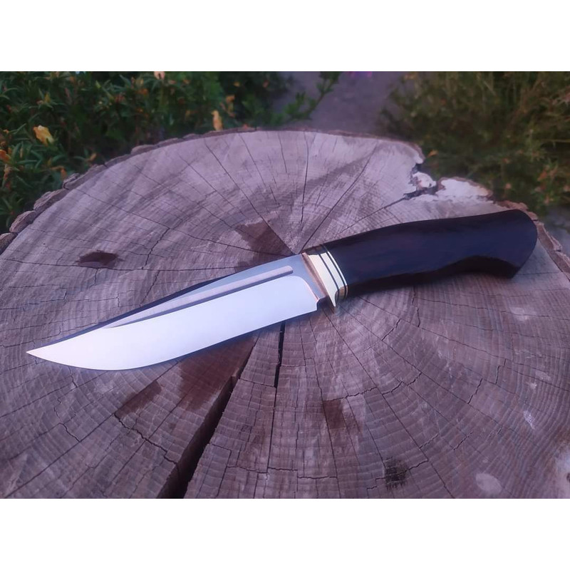 FB_IMG_1661485618550 - Copy.jpg