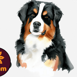bernese mountain dog watercolor clipart