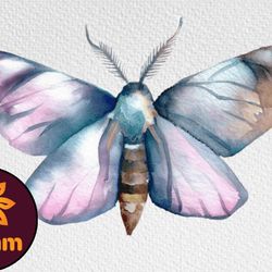 watercolor clipart. moth boho butterfly