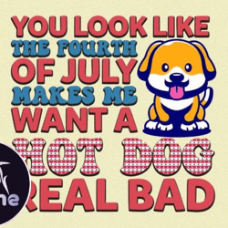 4th of july svg design-united we stand