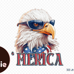 4th of July Sublimation - Merica PNG Design 64