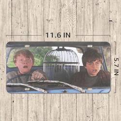 Harry and Ron License Plate