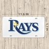 Tampa Bay Rays License Plate.png