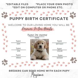 Puppy Birth Certificate Template,  Kitty Birth Certificate Template, Editable Dog Certificate, Editable Cat Certificate,