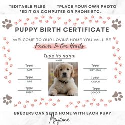 puppy birth certificate template, kitty birth certificate template, editable dog certificate, editable cat certificate,