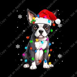 boston terrier christmas santa hat tree lights png, boston terrier christmas png, dog christmas png, dog xmas png