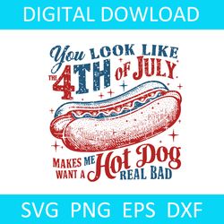 you look like the 4th of july svg, retro america hot dog svg, hot dog svg