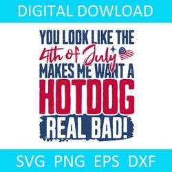 you look like the 4th of july makes me want a hot dog svg