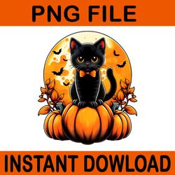 black cat pumpkin halloween costume fall autumn season png