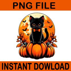 black cat pumpkin halloween fall autumn season png