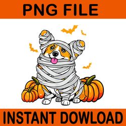 halloween welsh corgi mummy dog png