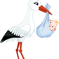 baby white and black stork png, stork carrying baby illustration,bird duck swan goose,stork baby,animals, chicken,verteb