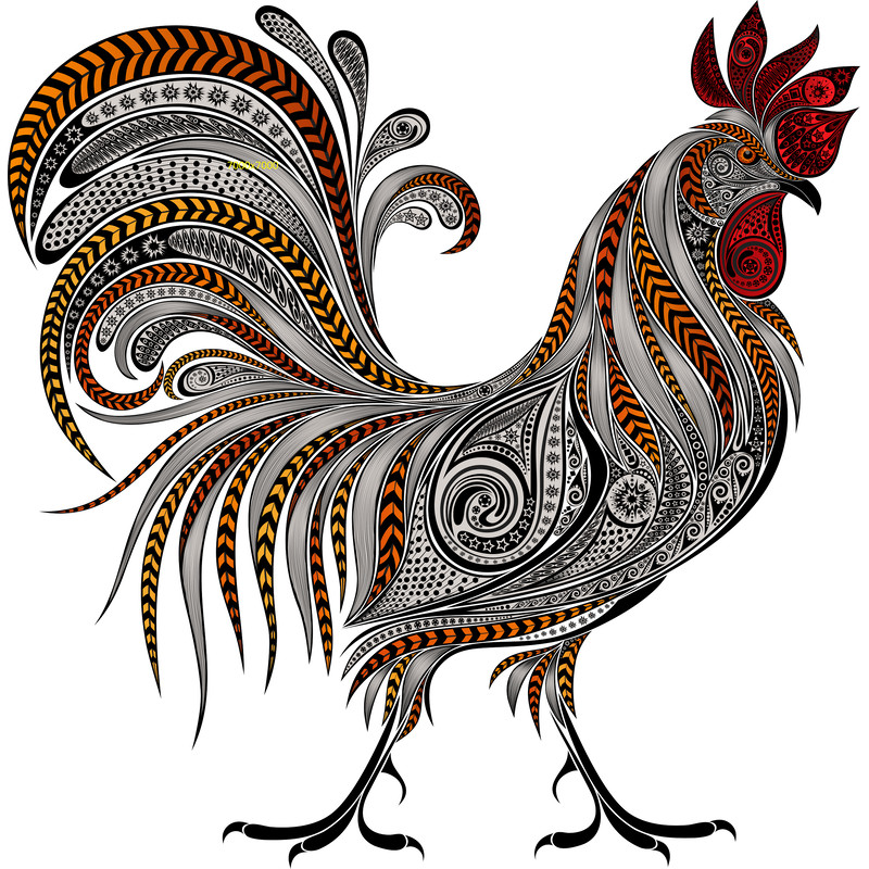 Rooster Png Art Rooster Drawing Stock Photo Visual Arts Poultry Fowl Drawing Beak Wing Pngdigital Download 0
