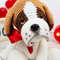 Saint Bernard Saint Bernard Crochet Pattern Crochet Pattern Pattern Crochet Amigurumi Saint Bernard Tutorial Baby 10