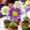 5in1 PDF File Mini Crochet Flower Pot Crochet Flowers Pot Pattern Plant Pot Knitted Flowers Mini Crochet Daisy Mini 5