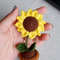 5in1 PDF File Mini Crochet Flower Pot Crochet Flowers Pot Pattern Plant Pot Knitted Flowers Mini Crochet Daisy Mini 6