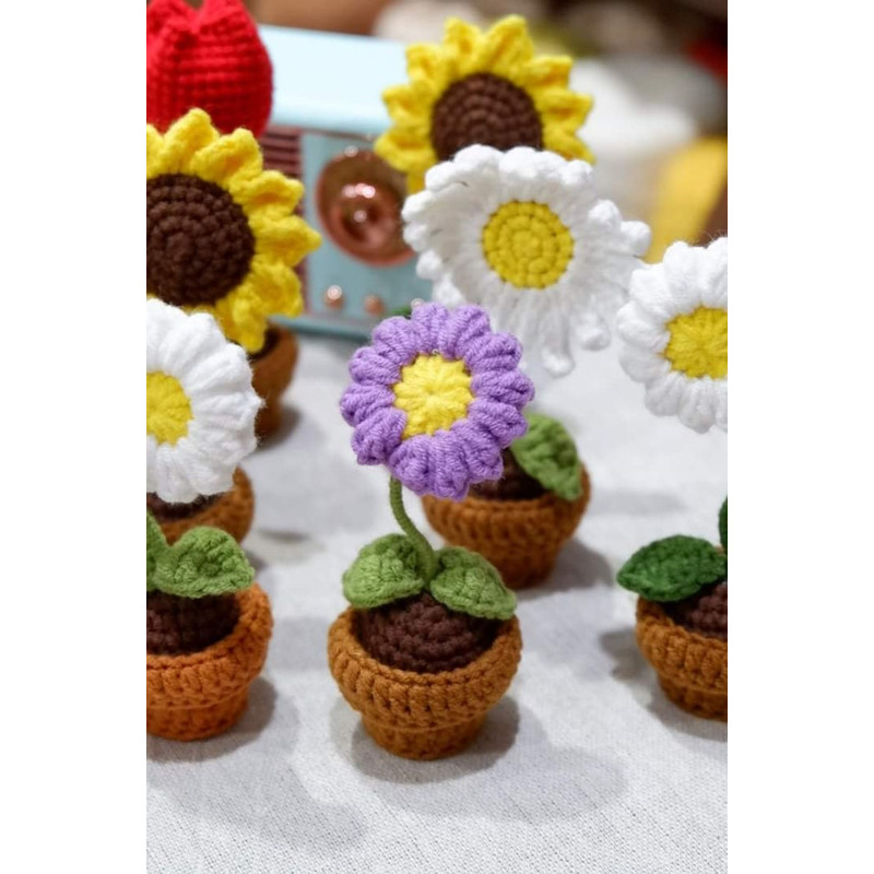 5in1 PDF File Mini Crochet Flower Pot Crochet Flowers Pot Pattern Plant Pot Knitted Flowers Mini Crochet Daisy Mini 8