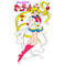 SAILOR MOON-12 D V3.png