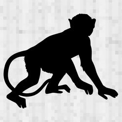 monkey svg monkey png monkey cricut monkey digital monkey