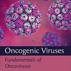 Oncogenic Viruses Volume 1: Fundamentals of Oncoviruses 1st Edition