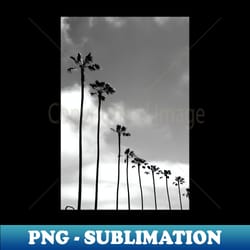 san diego - digital sublimation download file - vibrant and eye-catching typography