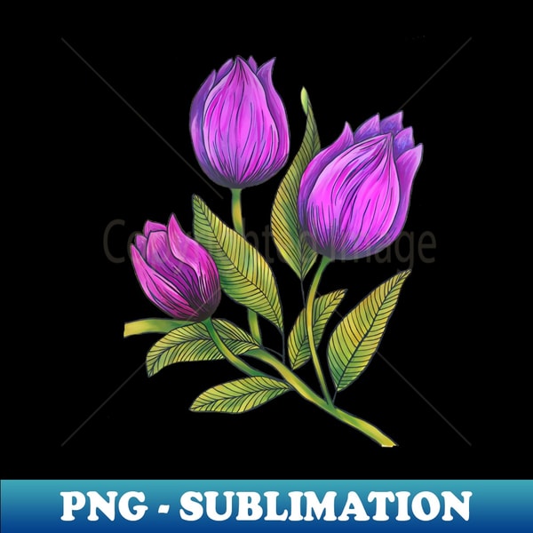 PA-65498_Purple Tulips 9180.jpg