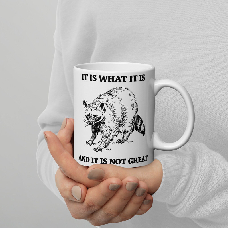 Raccoon Mug It Is What It Is And It Is Not Great Funny Raccoon Mug Raccoon Gift Cute Raccoon Funny Trash Panda Raccoon Meme.jpg